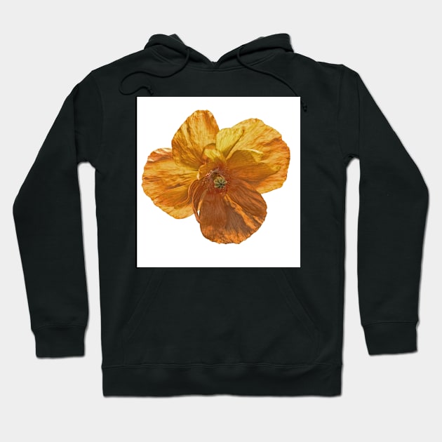 Poppy flower head. Hoodie by avrilharris